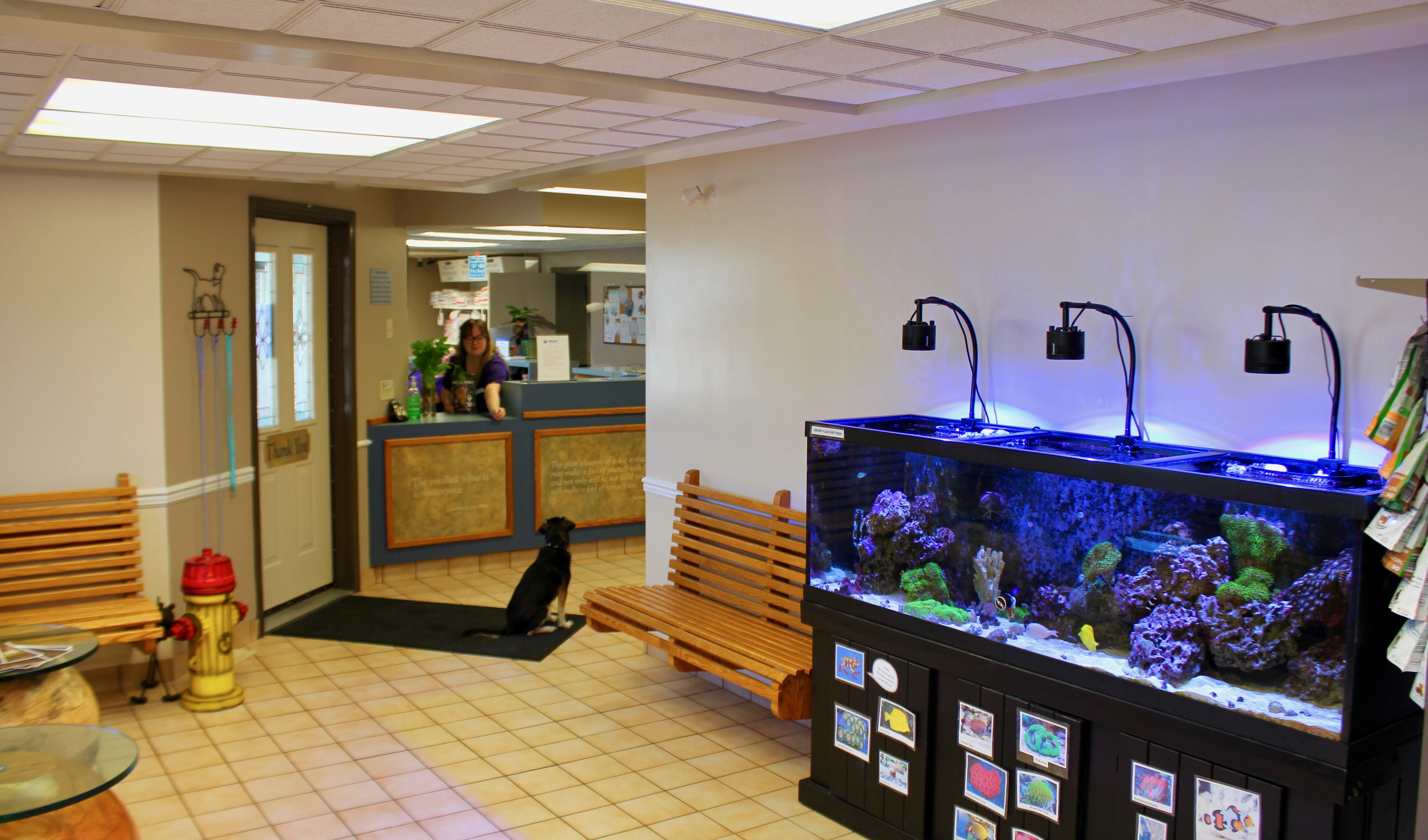 reception fish tank 