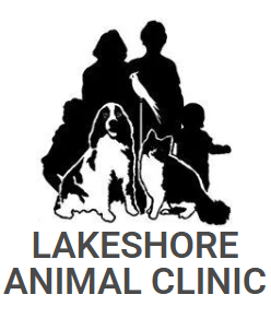 Lakeshore Animal Clinic Ltd